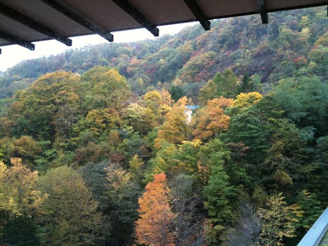 H͍gtȂ牷ɓ܂_oʐΐ