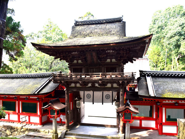 Ώ_{O_Ώ_{ێЏo_Y_Дqa