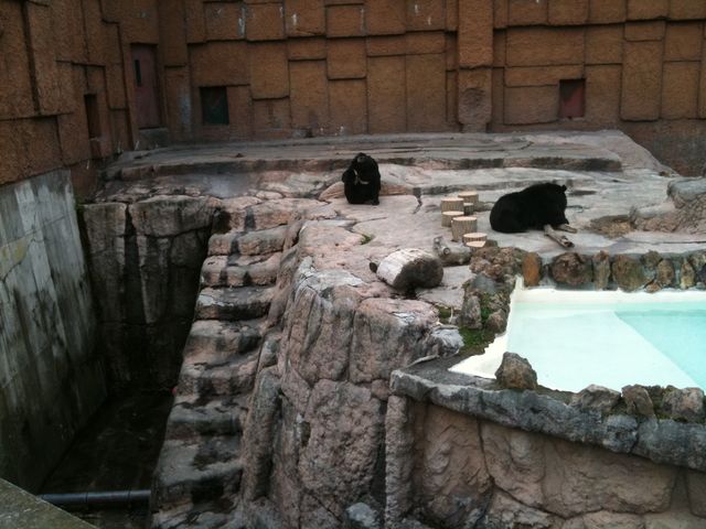 �N�}_�~�R������