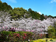 䂸҂̐Ώ_{̍̓eʐ^2