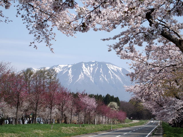 ݂񂳂̏_̍؂̓eʐ^1