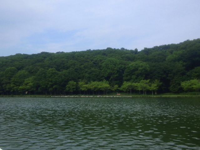 �����Y�r(�{�[�g����)_�΃��u����