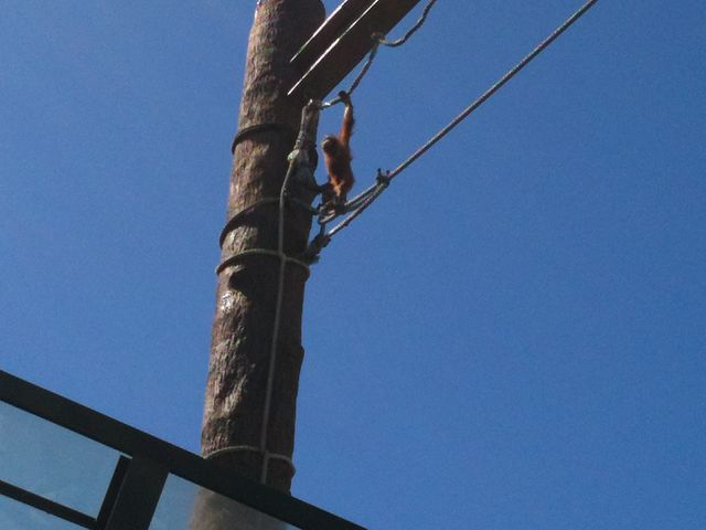 �����̒ʘH�����������񂪒ʂ�܂�_���R������