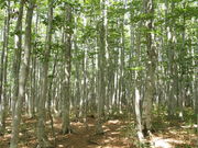 ݂񂳂̈䍂ui񎟗т̓eʐ^2