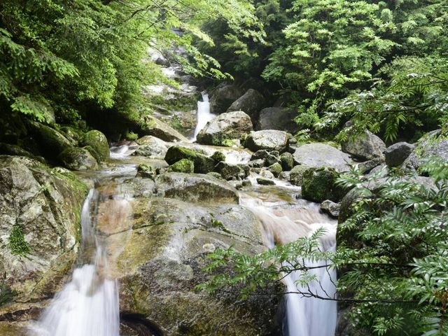 �r���̌i�F_���v���R��