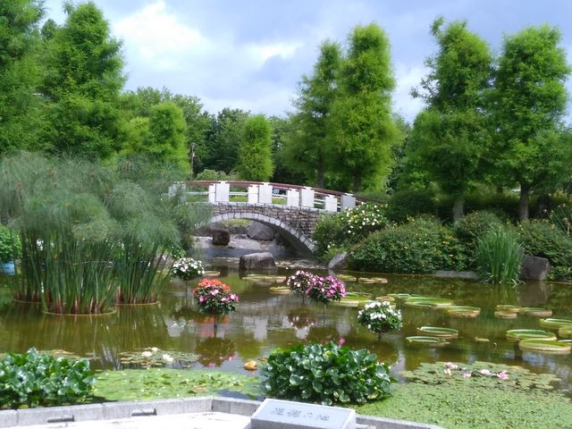 ���Îs�������A�������݂��̐X