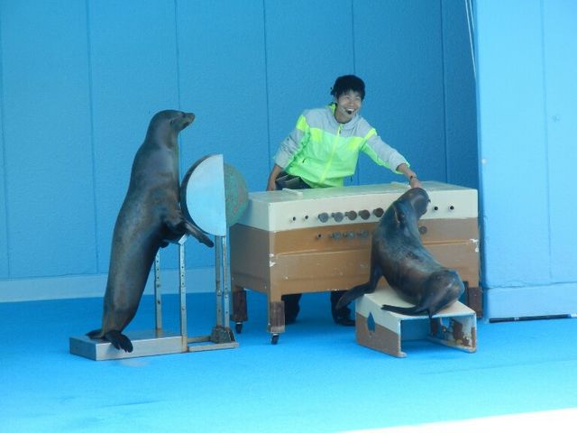 �V���[_��m���r�[�`�����h&��m���������ቤ��