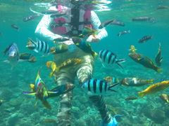 moongphali����̉���A�C�����h�N���[�ւ̓��e�ʐ^1