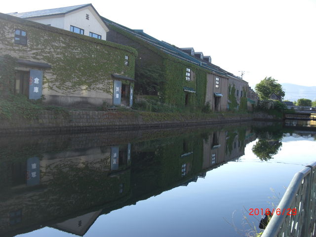 ���ʂ����ƂȂ��Ĕ��������i�����グ�Ă��܂����B_�^�͂ƐΑ��q�ɌQ