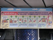 sJ񂳂̑c݂@Ƃ΂̐X̓eʐ^2