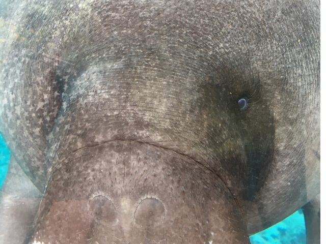 �}�i�e�B�[_�M��o�i�i���j��