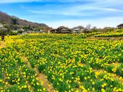 ̂̐MBۉỹXCZ̓eʐ^1