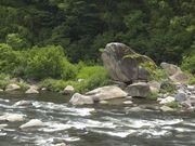 ӂ݂񂳂̖ؑ]@^̓eʐ^2