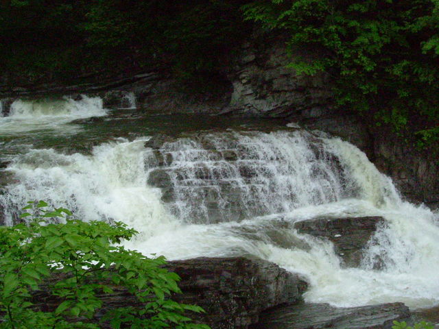 �O�i��_�O�i��