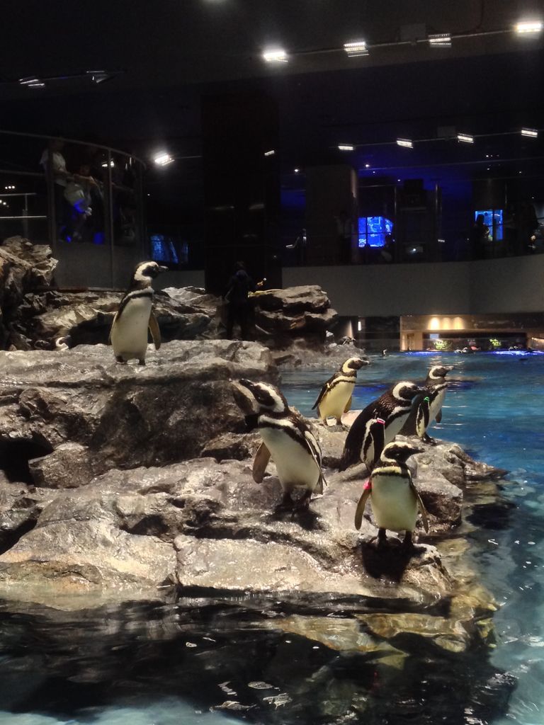 すみだ水族館