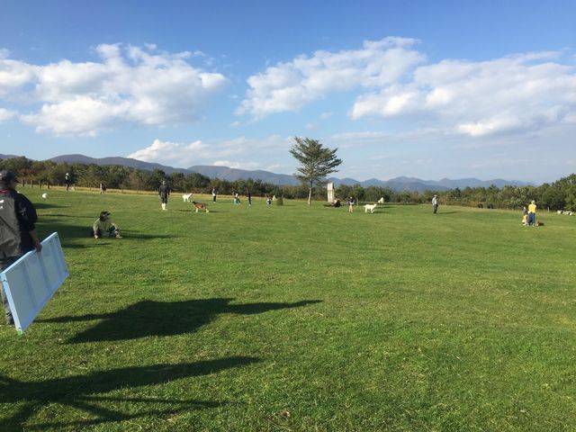 �V�C���ǂ��ċC���������ł�_�������_�Z���^�[