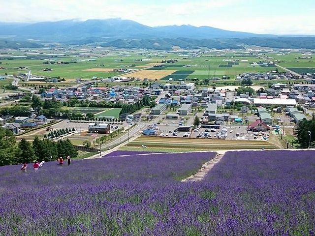 �������猩���i�F�ł��B_���x���_�[��