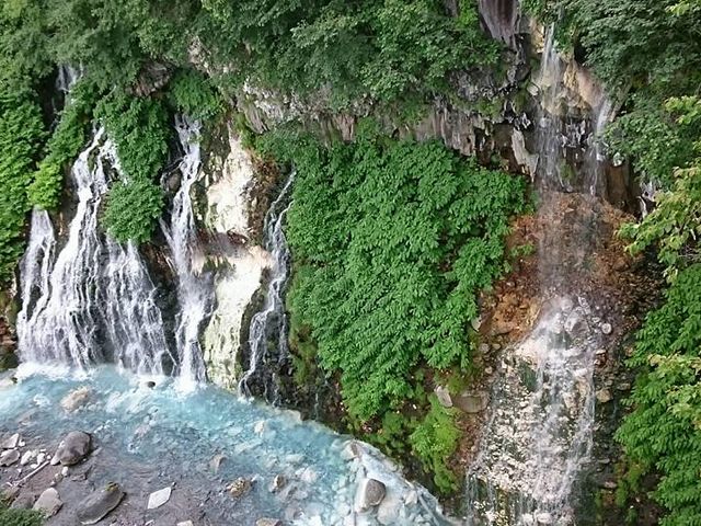 �Ȃ��Ȃ��Y��ȑ�ł�_���Ђ��̑�