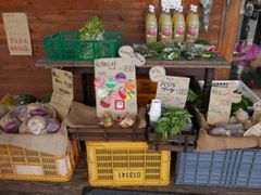 񂳂̖kAvXq꒼Xւ̓eʐ^1