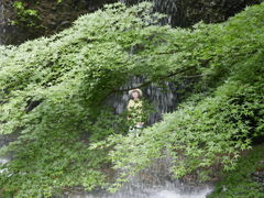 ]p̐Bč҂݂̑ւ̓eʐ^1