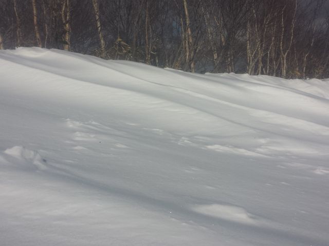 ����͂����R���f�B�V�����ł���_�J�����X����T�����C�o�X�L�[��