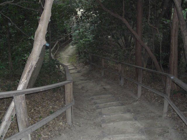 ߂ڂڂ̘@؎pRۑSn̓eʐ^1