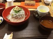 ̂񂿂񂳂̏H{̓eʐ^1