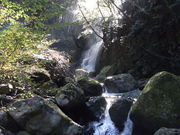 ibokorori̋RГ̓eʐ^2