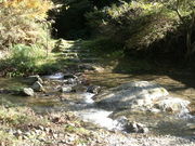 ibokorori̋RГ̓eʐ^3