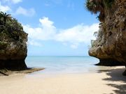 ̂񂿂񂳂̈ɌԃTr`ߓ̓eʐ^1