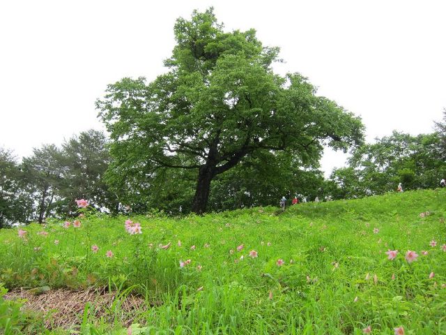 ���������R����3_���������R�����Ђ߂����Q���n