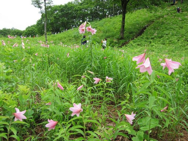 ���������R����4_���������R�����Ђ߂����Q���n