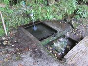 ς񂾂̐ȉƏW̓eʐ^2