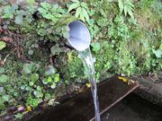 ς񂾂̐ȉƏW̓eʐ^3