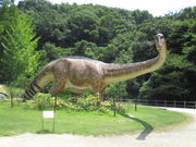 񂳂̃JugKjق̓eʐ^5