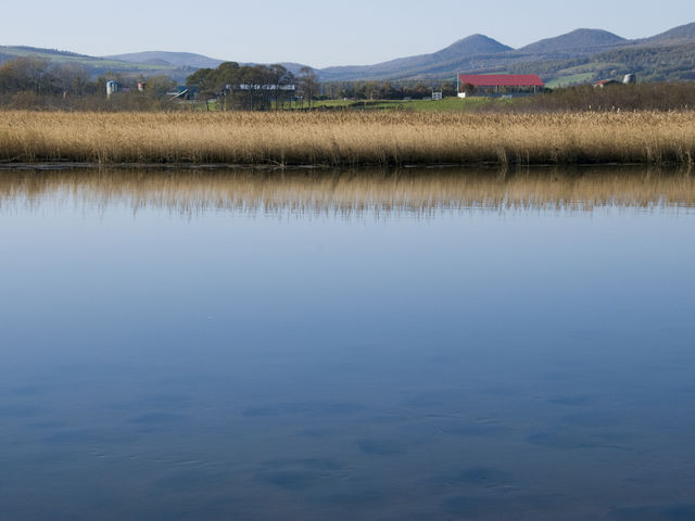 �R���P�΂̏H
�i�΂Ƌ��Ɂj_�R���P��