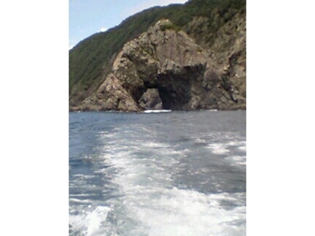 ���񂸂���̉F�ˍ�̓��e�ʐ^1