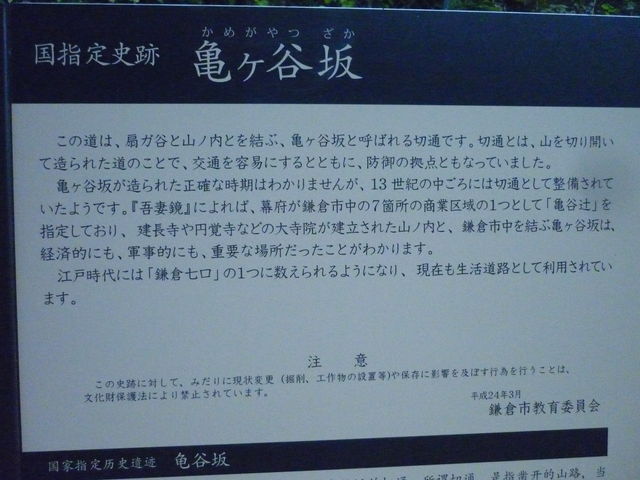 �T���J��ؒʂ�