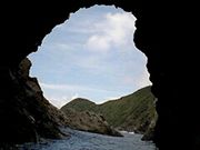 ���񂸂���̉F�ˍ�̓��e�ʐ^1