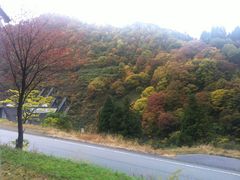 ݂̗RAy[gyxRzւ̓eʐ^1