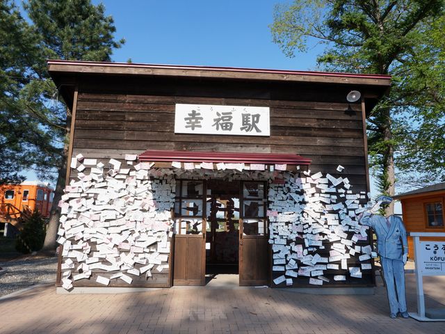 �w��_�K���w�i�K���S�������j