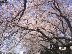 �����ォ���コ��̖k�z�J�̍��ւ̓��e�ʐ^1