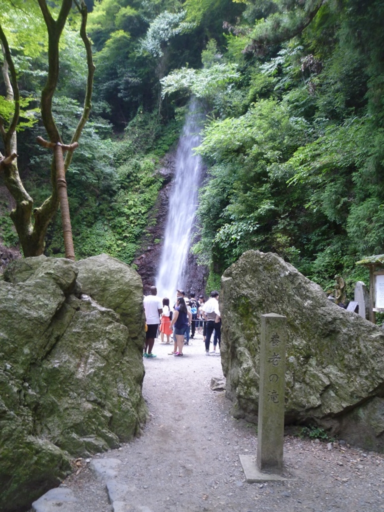 養老の滝