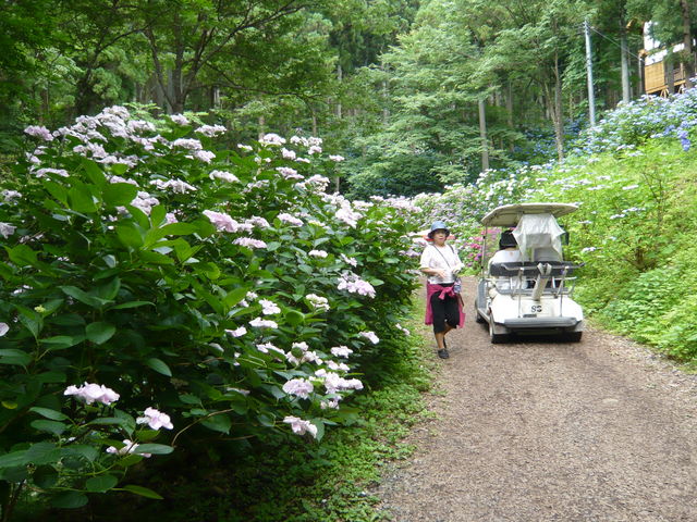 �J�[�g������_�݂��̂�����������