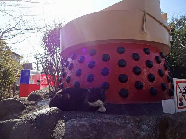 ���܂ǒn���̂˂�
�u���܂ǂ̂˂��v�Ɩ��Â��܂����B
�ʐ^���B������N���ċ߂Â��Ă��܂����B_���܂ǒn��