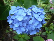 hitakamî݂̂̓eʐ^2