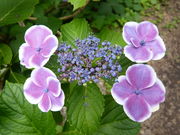 hitakamî݂̂̓eʐ^3