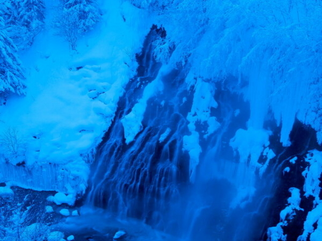 ���R�̎p�̂܂܂���������̔��Ђ��̑�_���Ђ��̑�