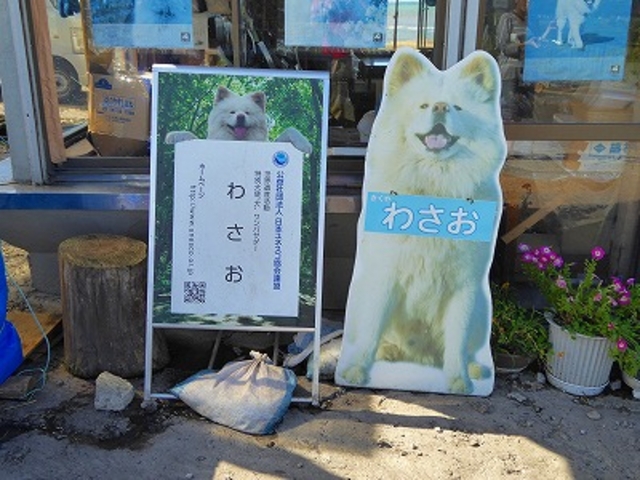 �X���E���Ìy�S�E�˃��򒬁E�厚�E�ԐΒ��E�Ă��C�J�ʂ�u�����⏤�X�v_�Ă��C�J�ʂ�u�C�J�̃J�[�e���v