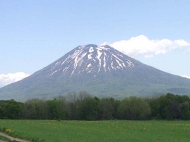 �ǂ��ł����H�f���炵���k�C���̕x�m�R^o^_�r���R